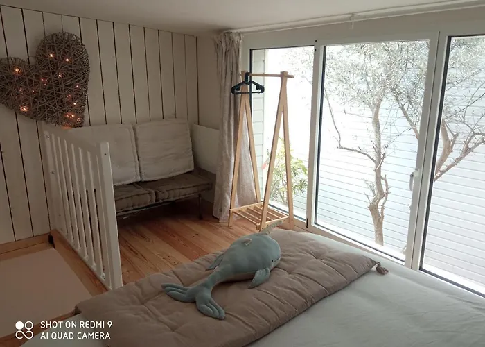 T2 A 2 Pas De La * 그랑빌